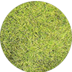 Material Image 2